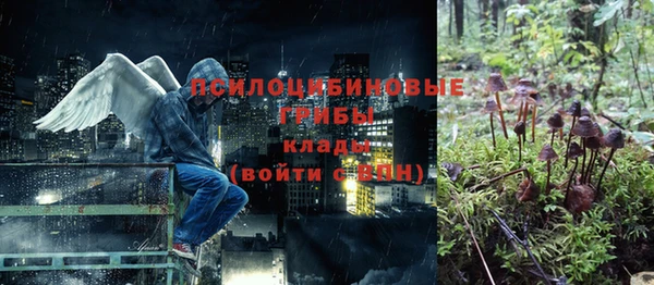 ECSTASY Володарск