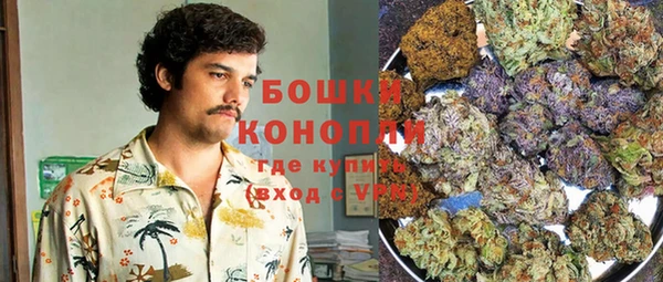 гидропоника Горняк