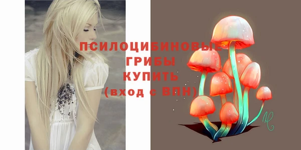 гидропоника Горняк