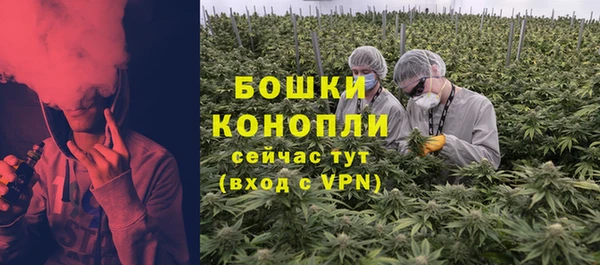 гидра Гусь-Хрустальный