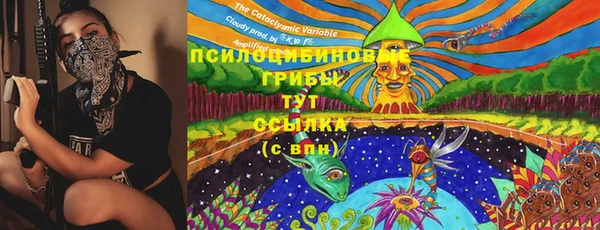apvp Горнозаводск