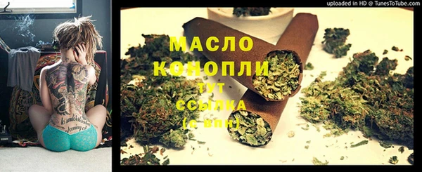гидра Гусь-Хрустальный