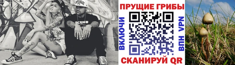 Псилоцибиновые грибы GOLDEN TEACHER  что такое   Жуков 